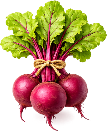 Fresh beets