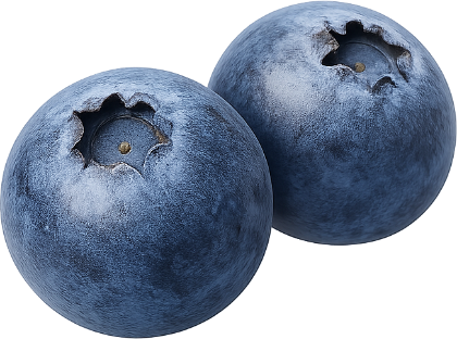 Fresh blueberries