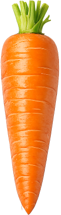 Fresh carrot